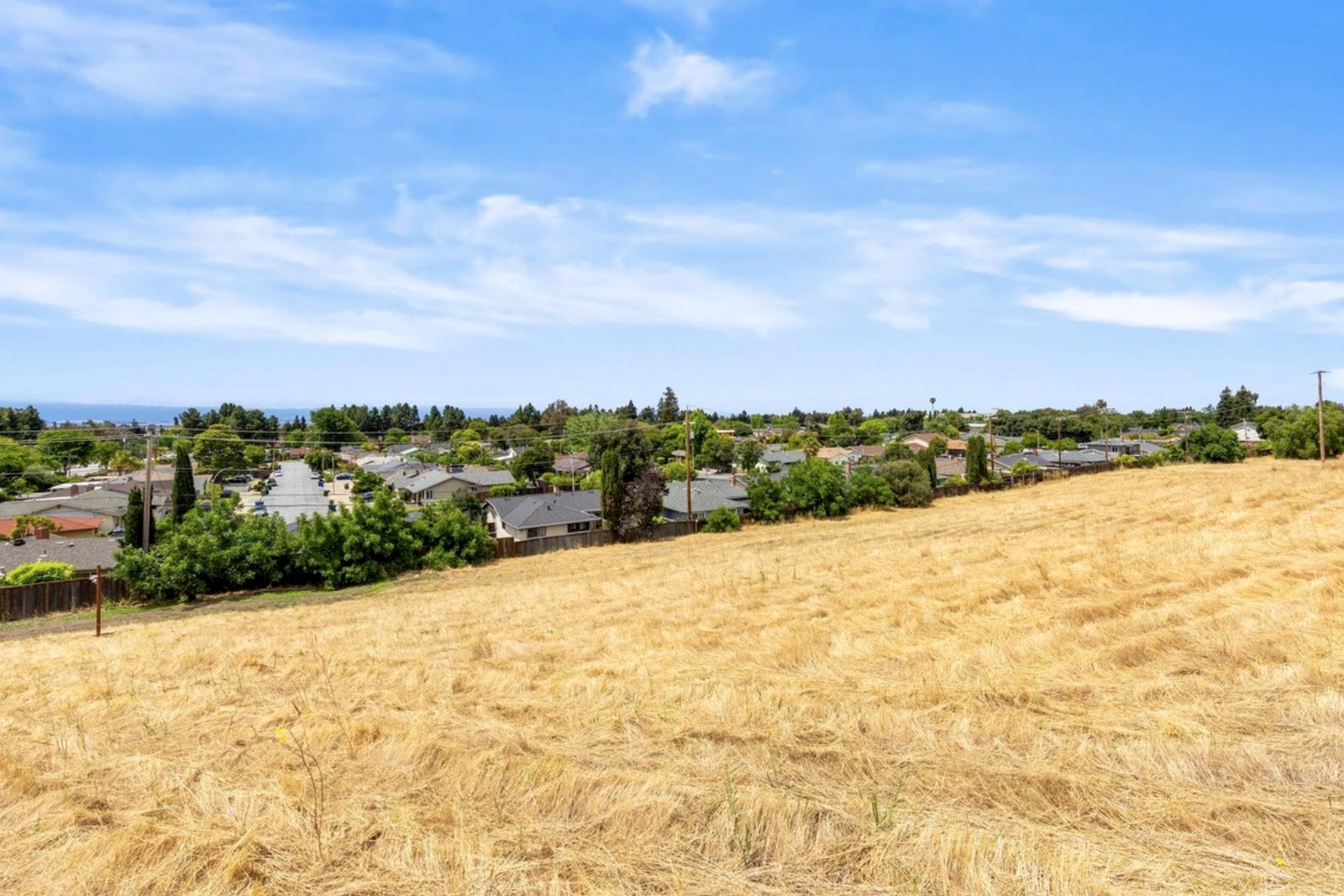 Ground-level view across the Warren Place parcel toward the bay